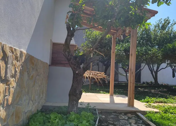 Hébergement de vacances Adega Dos Avos - Casa Completa